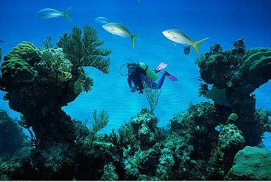 《无限机兵》发行人也提前拿到《明末:渊虚之羽》光盘